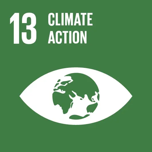SDG 13 Icon