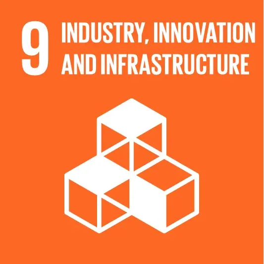 SDG 12 Icon
